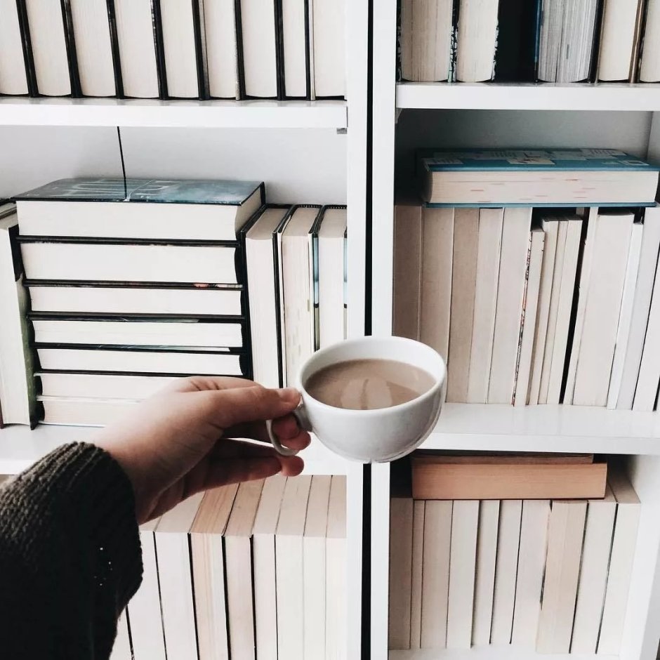 Aesthetic книжные полки