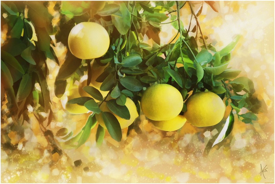 Лимонное дерево арт