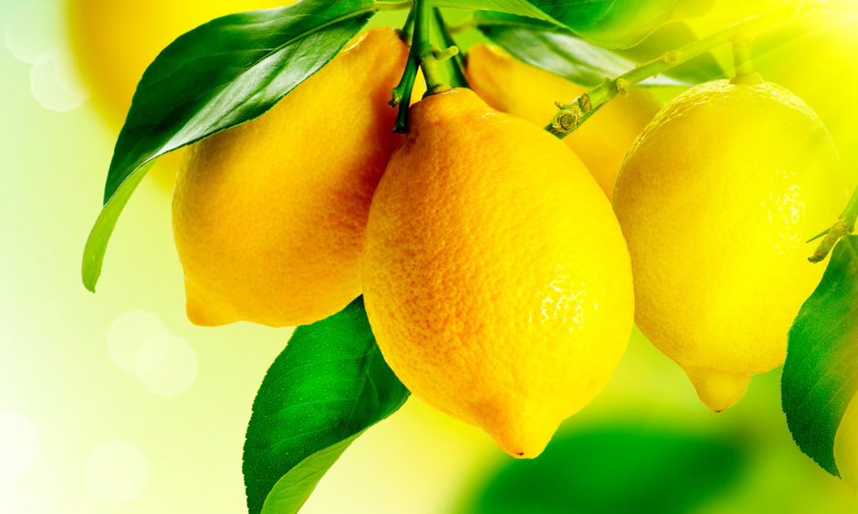 Постер желтый лимон