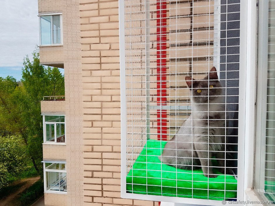 Сетка антикошка