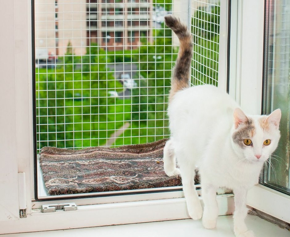 Балкончик для кошки