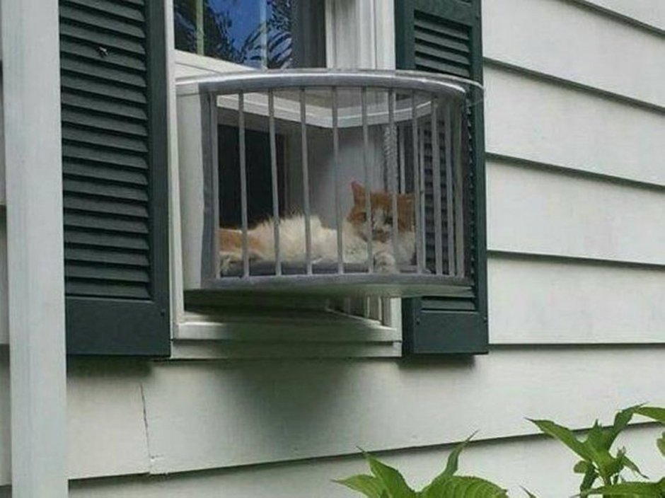 Балкон для кошек на окно