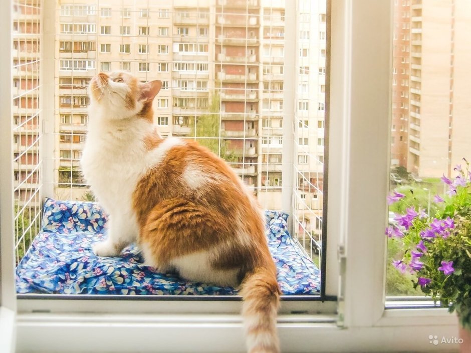 Катио вольер для кошки