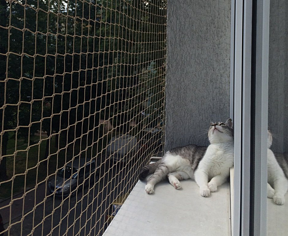 Вольеры для кошек на окно