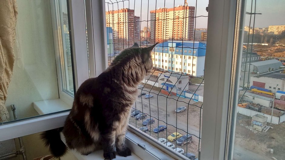 Домик для кошки на балконе