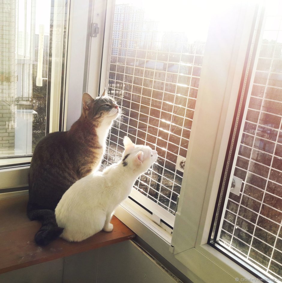 Лежанка для кота на подоконник