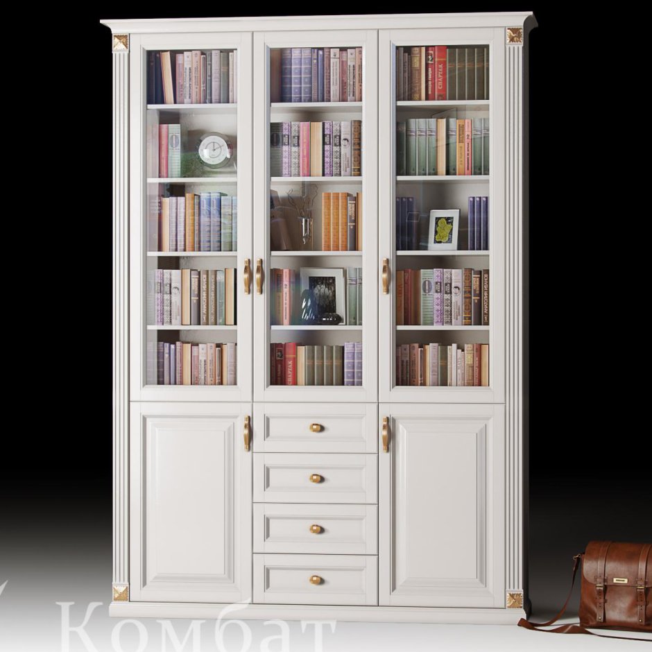 Современный книжный шкаф