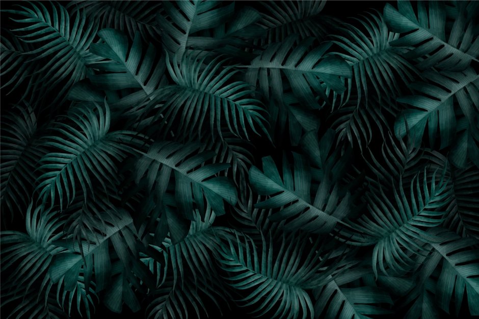 Фон листья