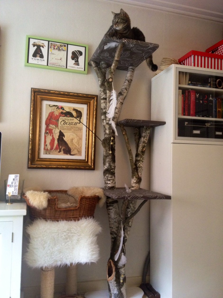 Дерево для кошек в комнате