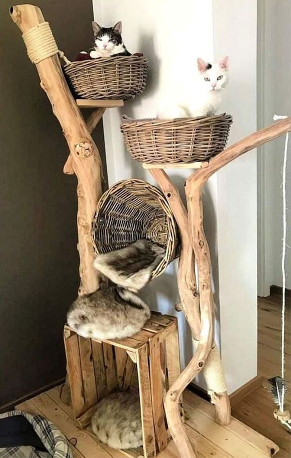 Домик для кошек из дерева