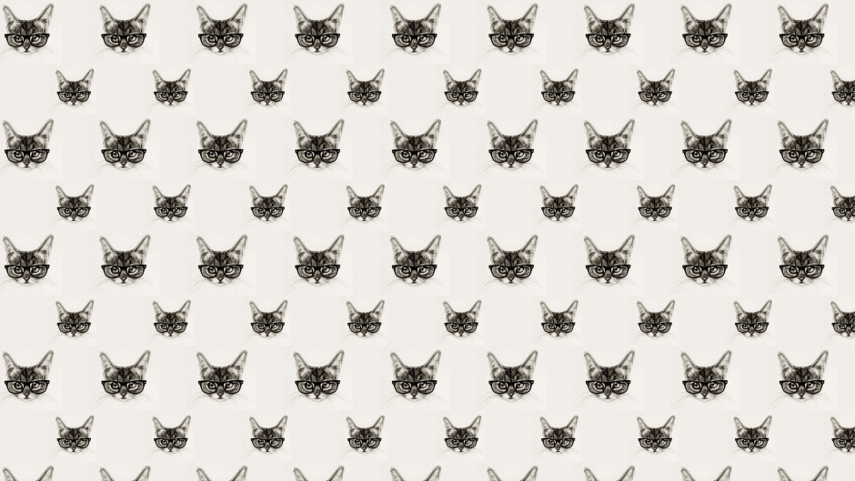 Много котиков