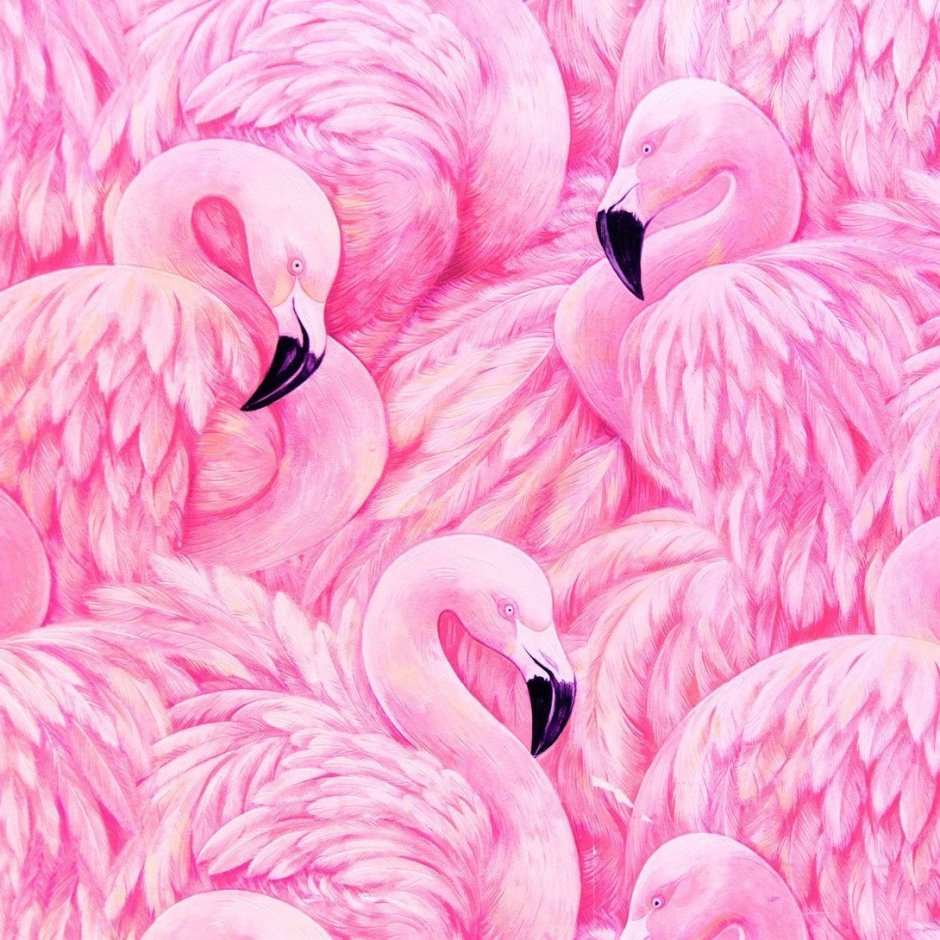 Розовый Фламинго обои