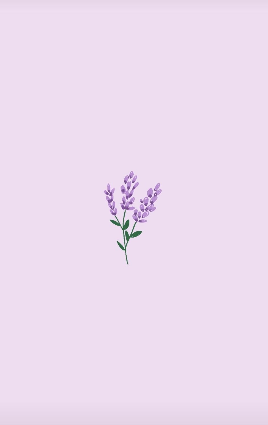 Обои с лавандой
