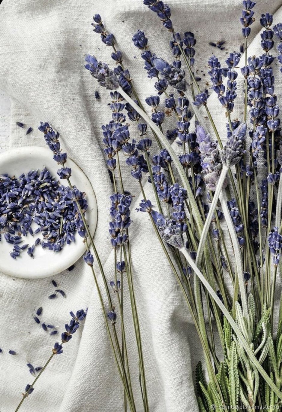 Лаванда Lavender aesthetic