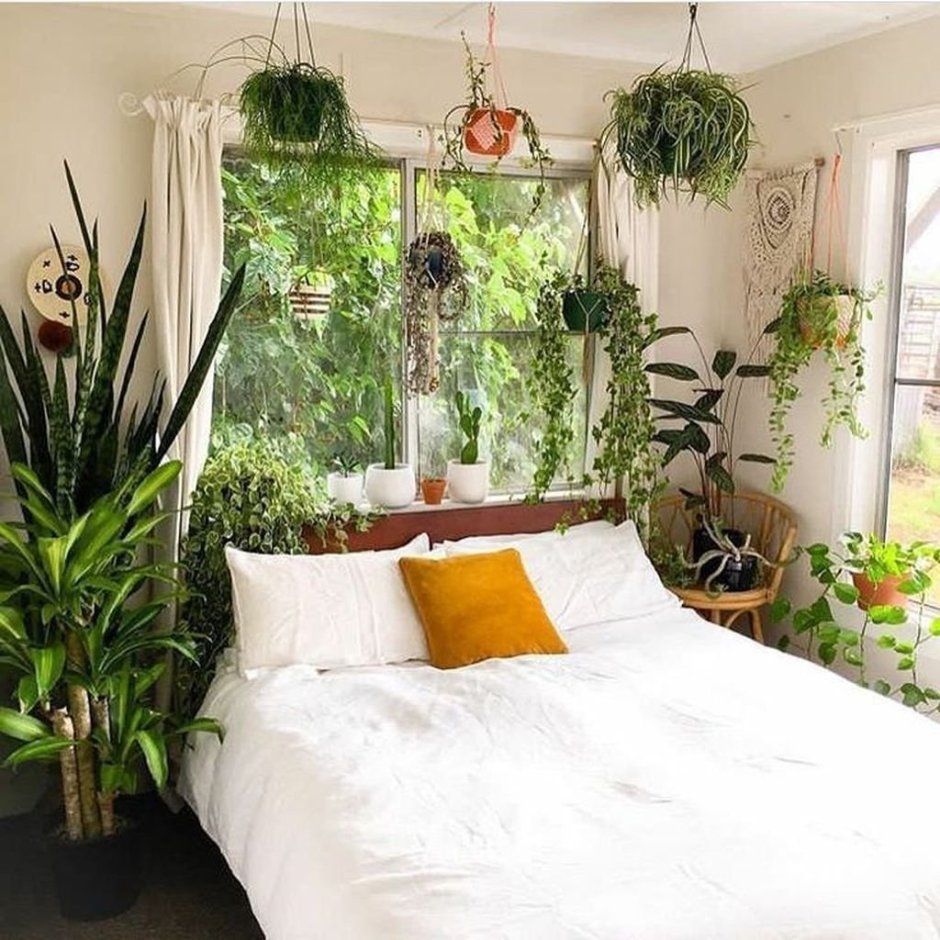 Растения в интерьере спальни