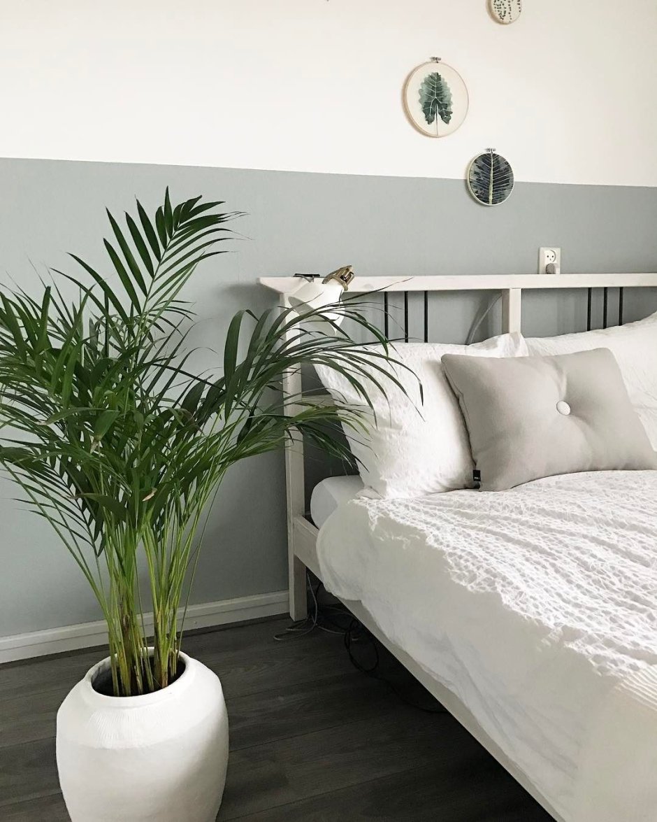 Интерьер комнаты с растениями
