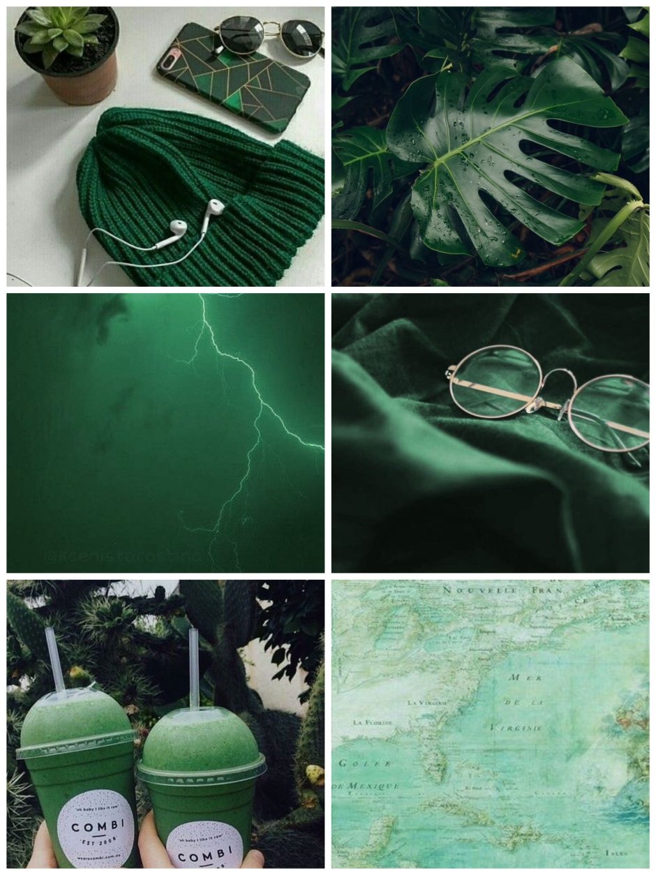 Эстетика зелёного цвета