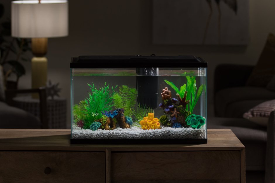 Маленький запаянный аквариум с рыбками