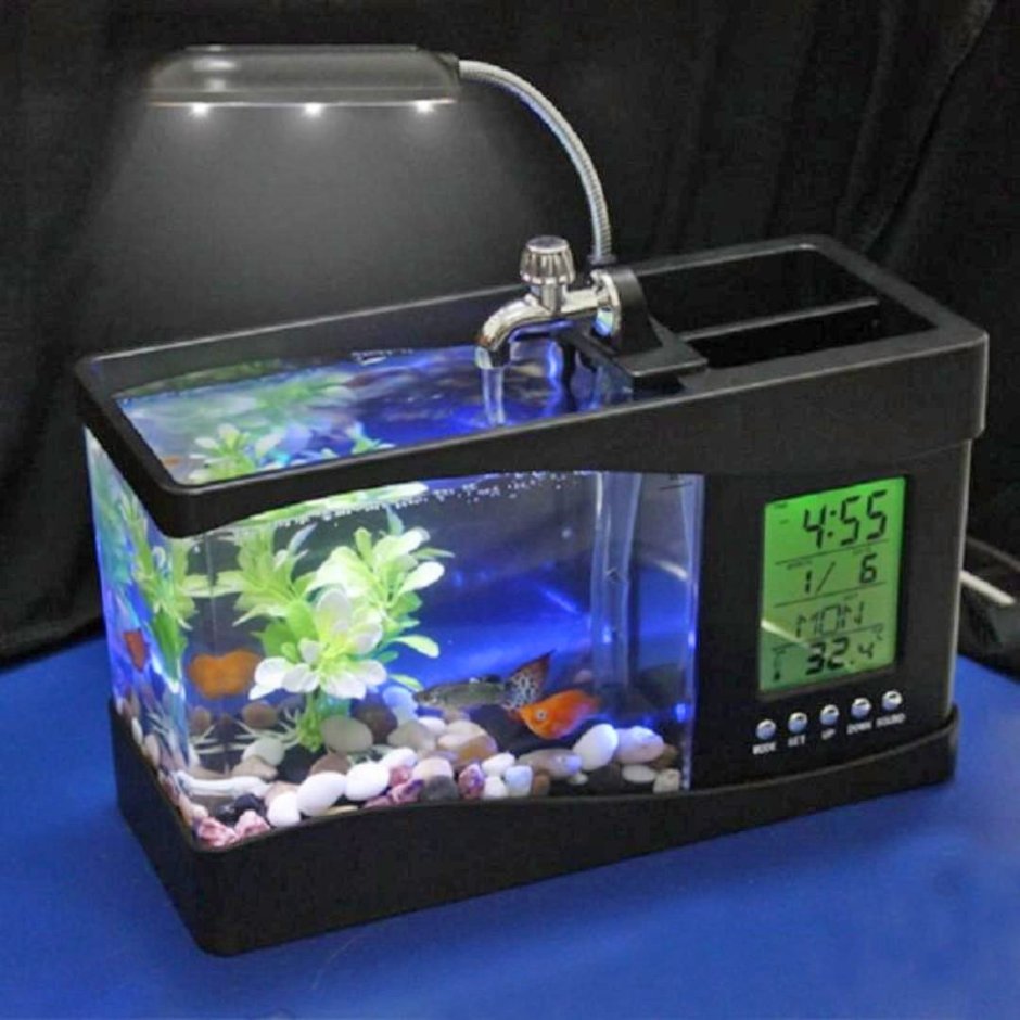 Ноутбук аквариум