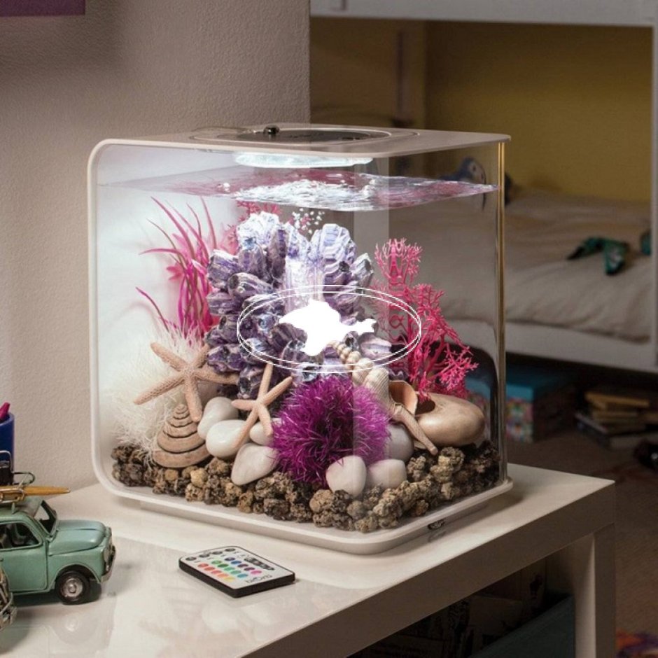 Нано аквариум 10 литров рыбки