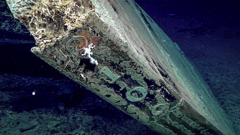 Jason DECAIRES Taylor