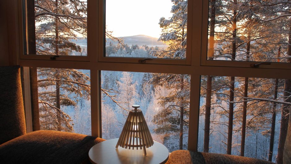 Treehotel Харадс вид с окна