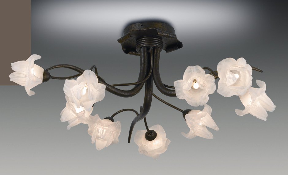 Потолочная люстра Odeon Light Oxonia 2585/5