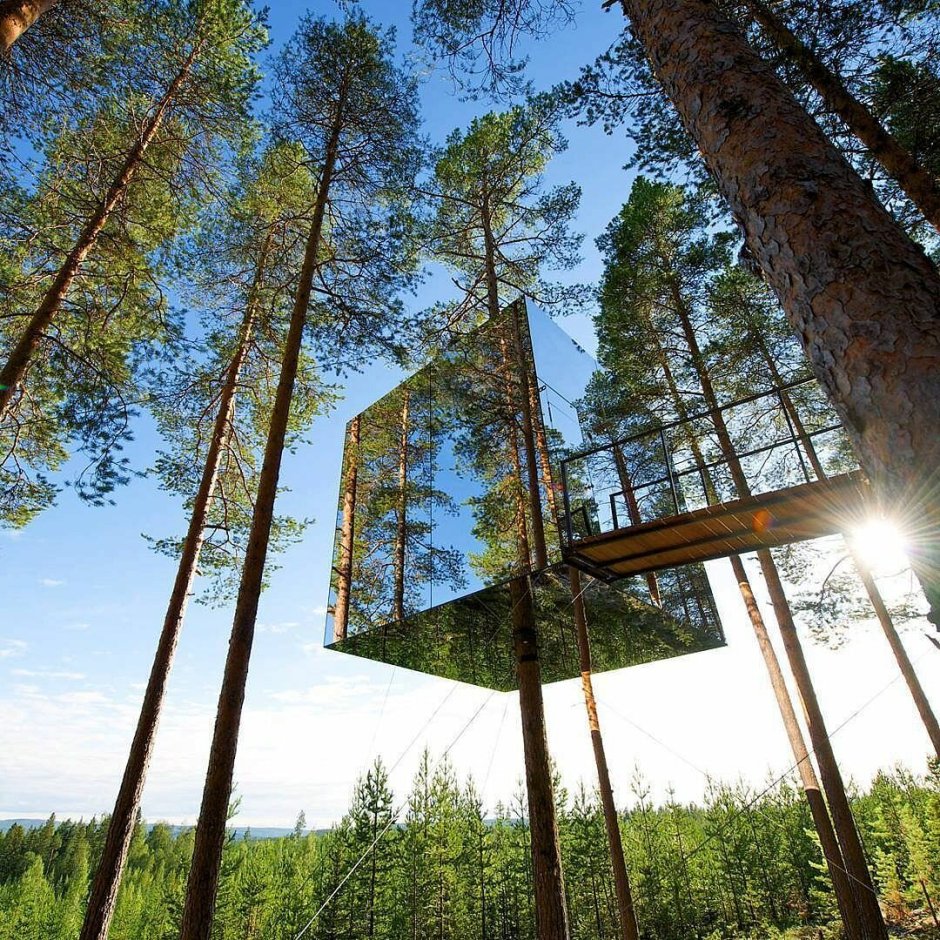 Tree Hotel Швеция Харадс