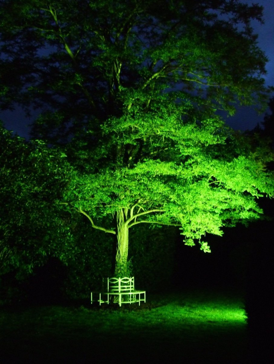 Зеленый прожектор для подсветки деревьев