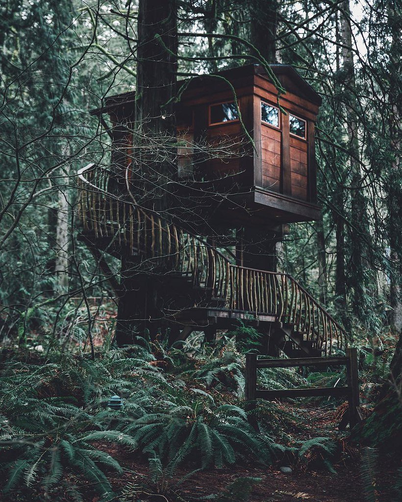 Эстетичный домик на дереве