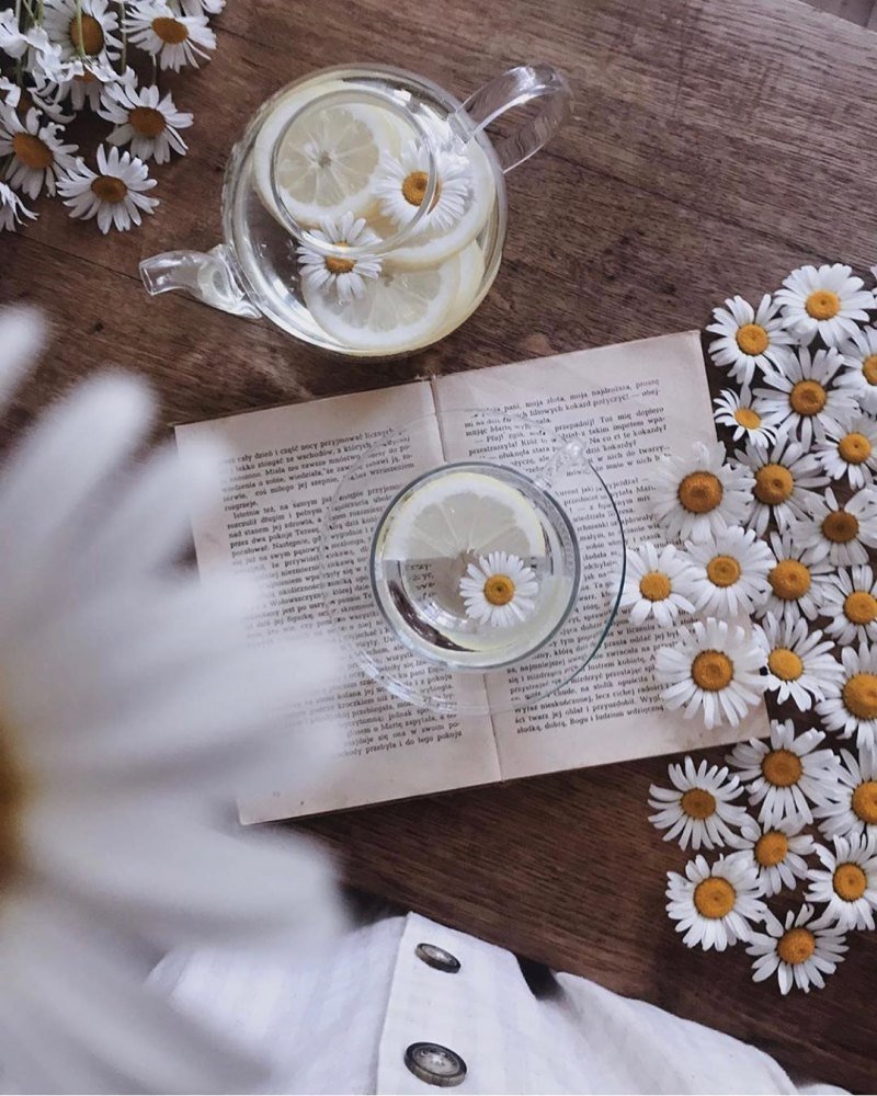 Эстетика ромашек коллаж