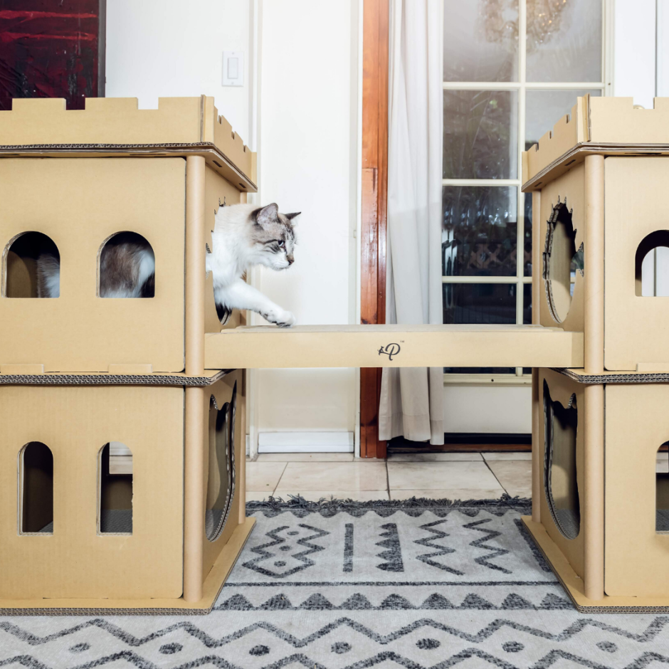Домик для кошек из коробок двухэтажный