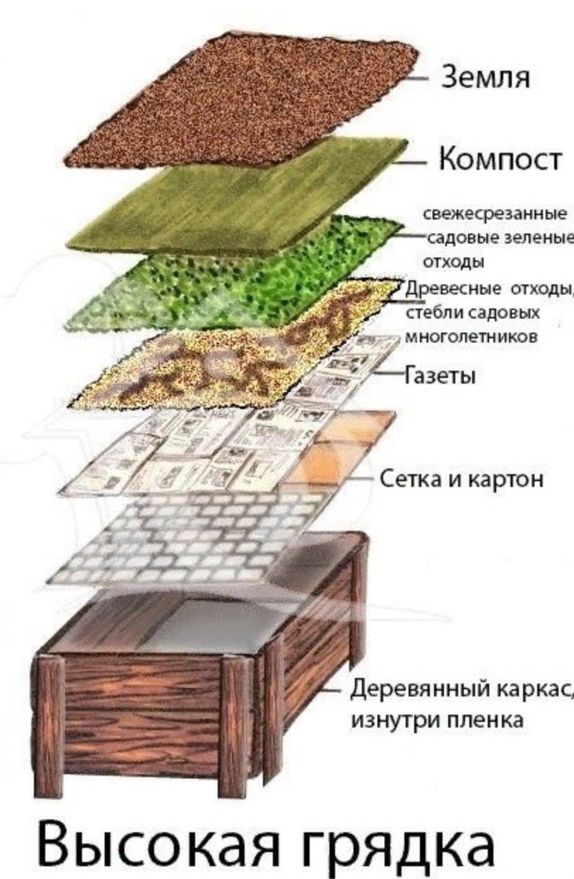 Теплые грядки схема послойно