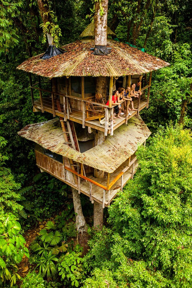 Отель Treehouse домики на деревьях