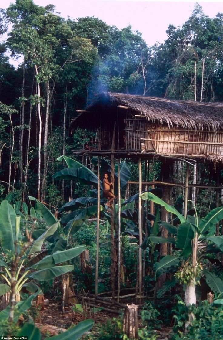 Korowai Tree House, New Guinea