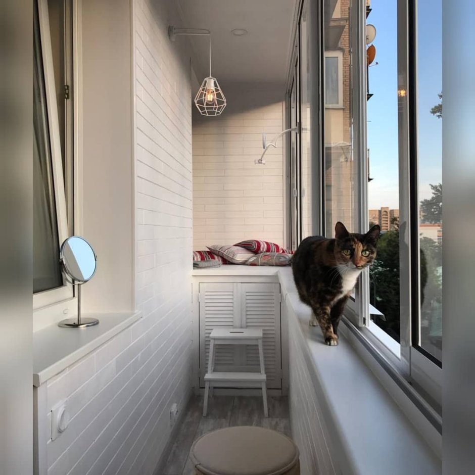 Балкон с окном для животных