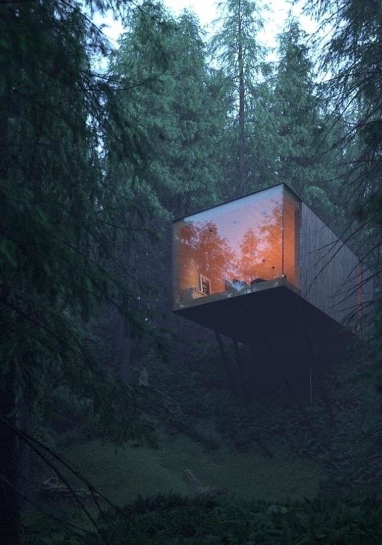 Замаскированный домик в лесу
