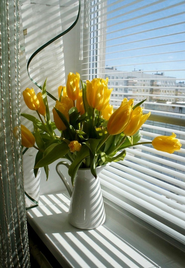 Весенние цветы на окне