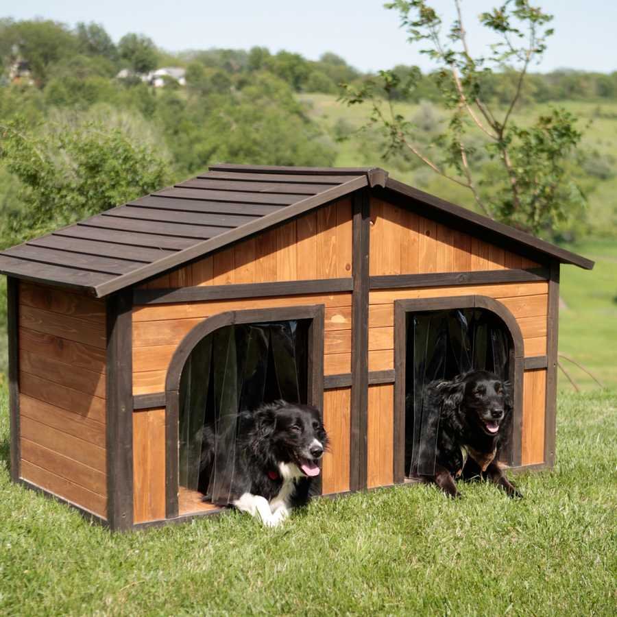 Конура собак Dog House