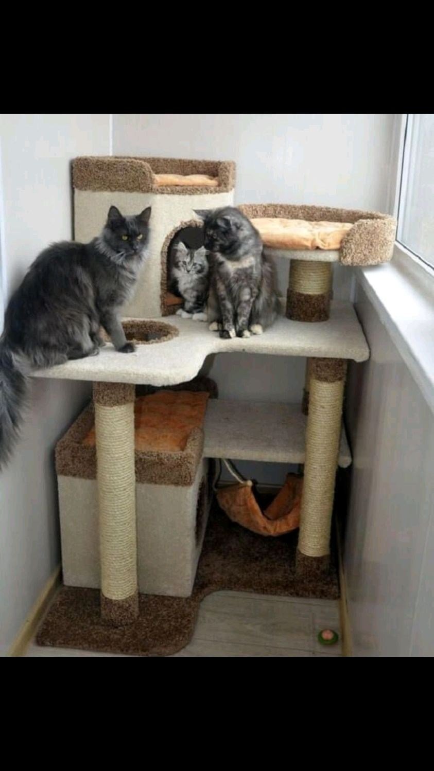 Дом для кошки с котятами