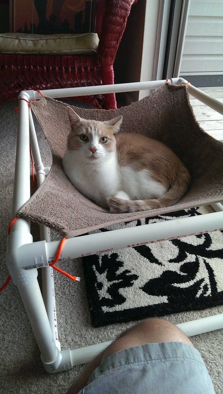 Гамак для кошек