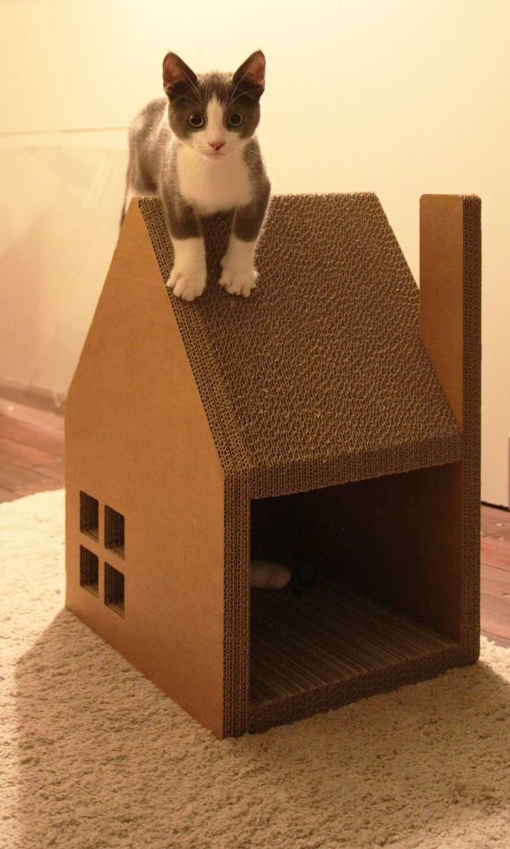 Домик для кошки из картонки