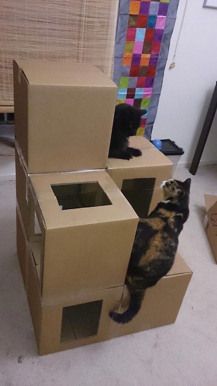Домики для котят из коробок