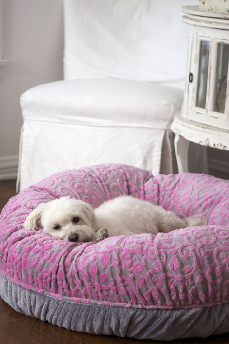 Лежанка для мальтезе