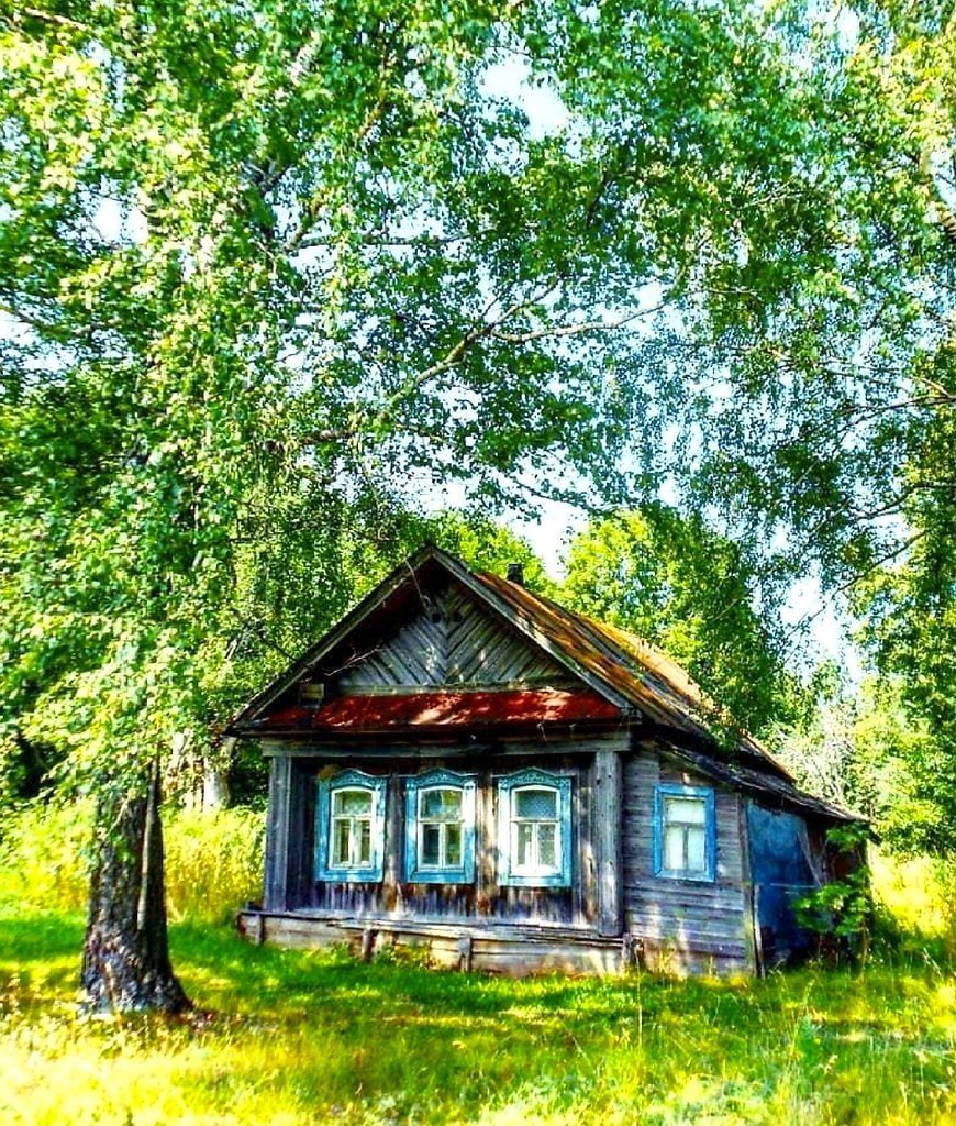 Лето в деревне