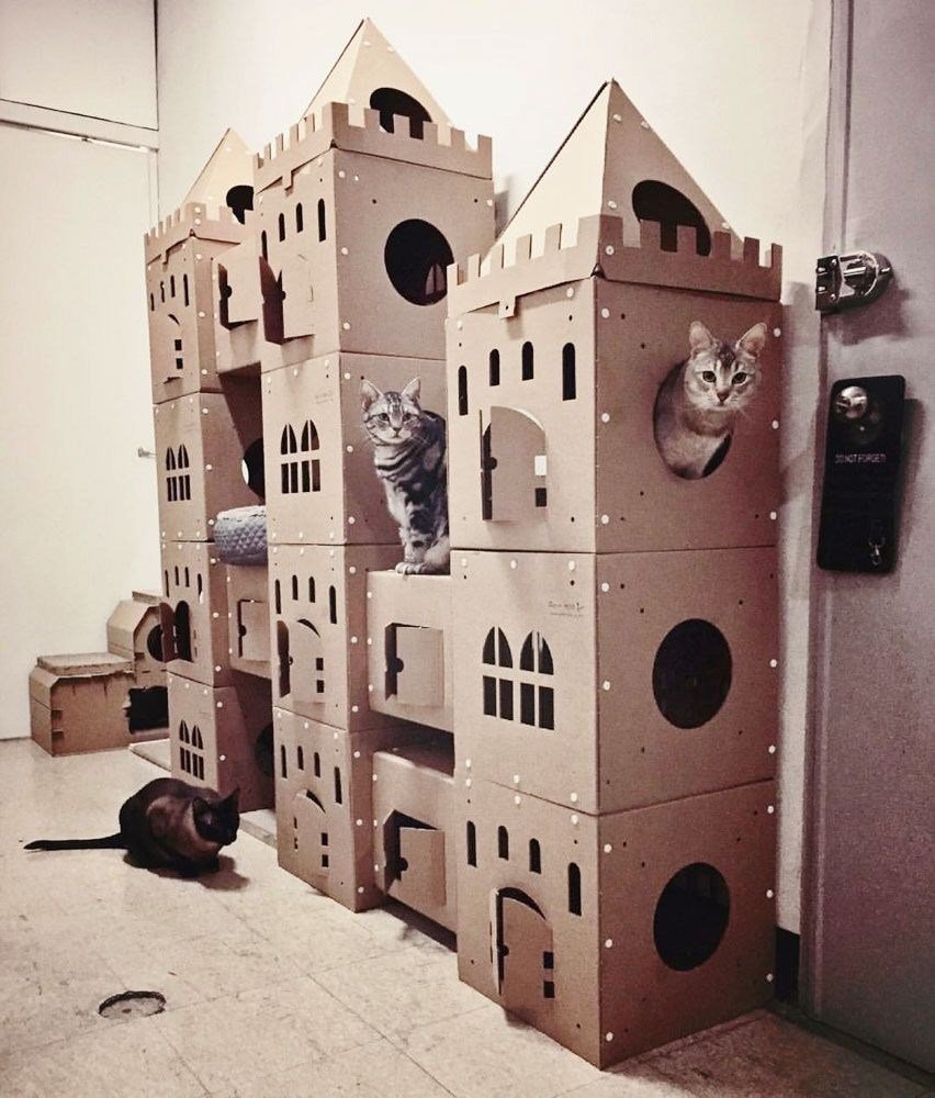 Картонный замок для кота