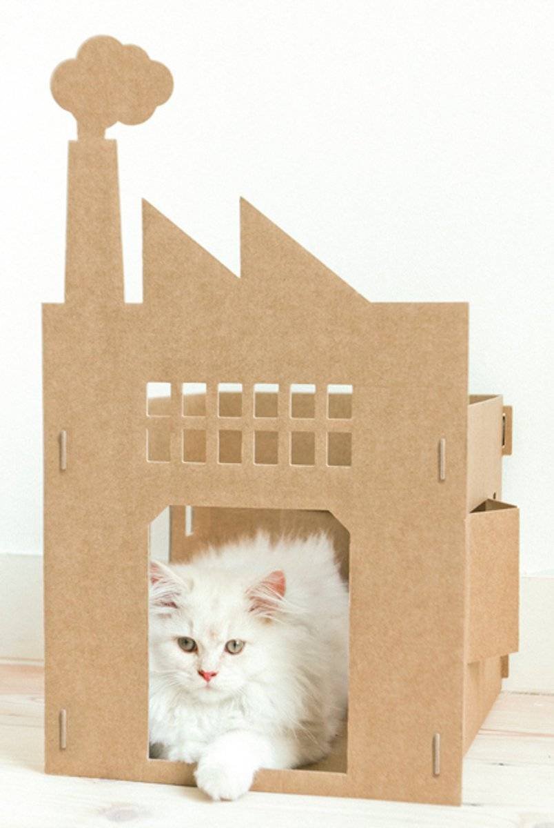 Поделка из картона котик