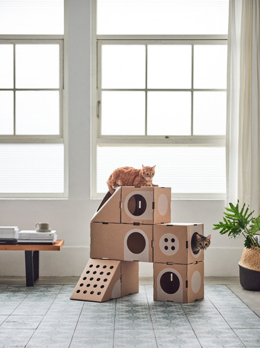 Домики для котов из коробок