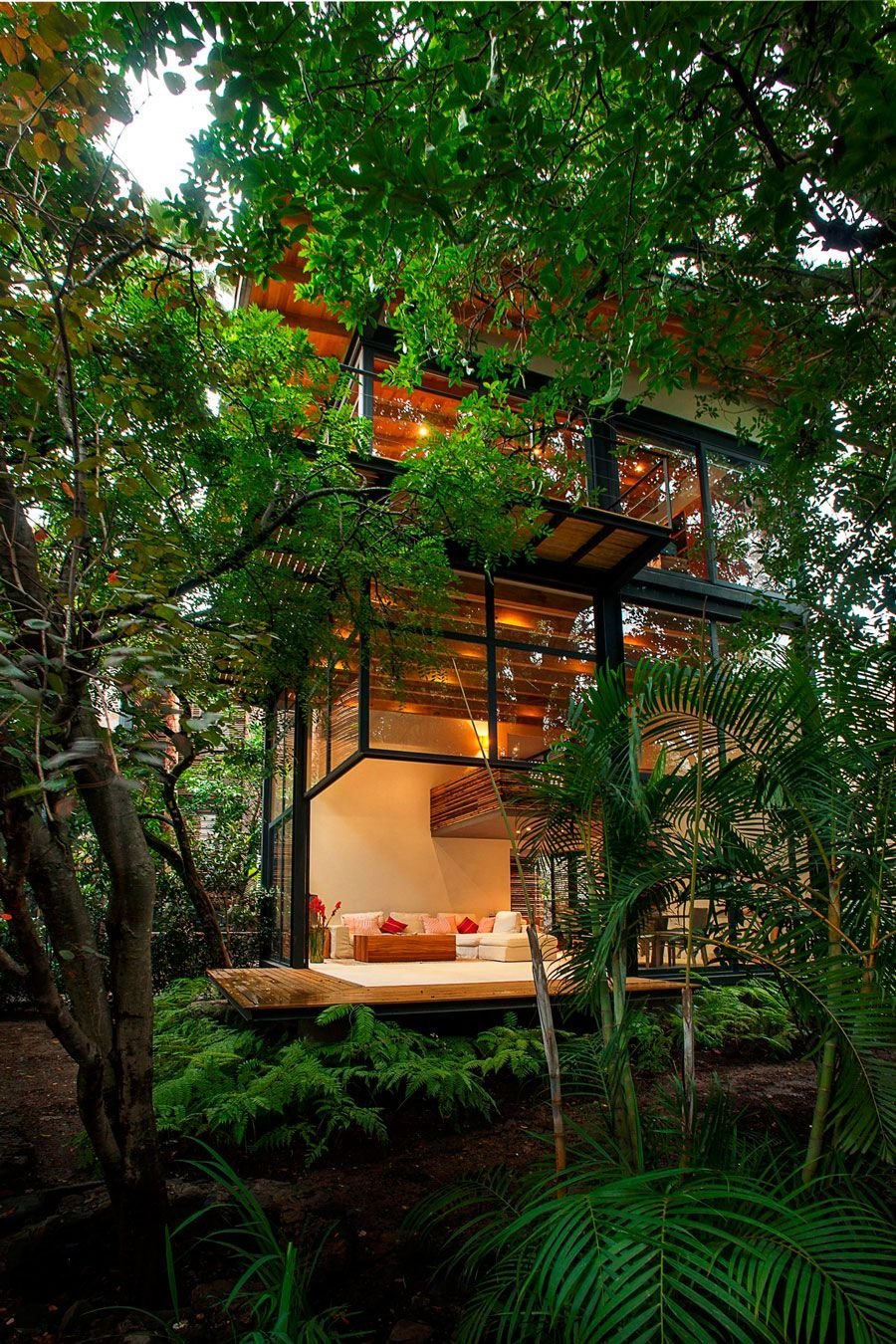 Дом в тропическом лесу