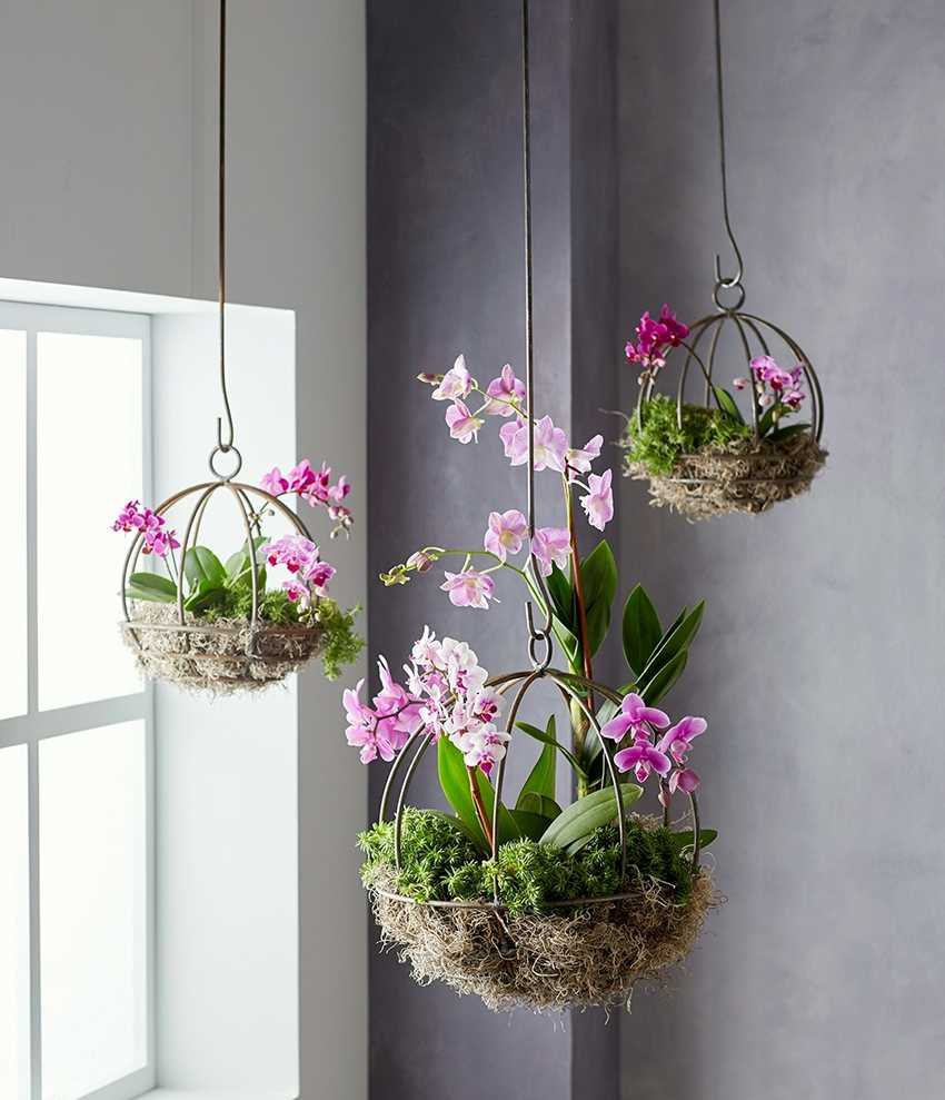 Подставка для цветов орхидея